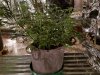 20160512_153816.jpg