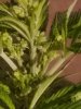 20160512_154038.jpg