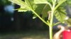 20160512_184354.jpg