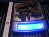 DSC00508.jpg
