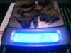 DSC00509.jpg