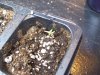 100_2545.jpg