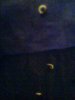 seeds cracked.jpg