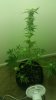 20160513_202706.jpg