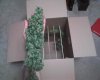 downloadfile-5.jpg