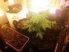 20160513_095022.jpg