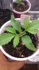 20160514_221630.jpg