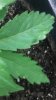 20160516_194202.jpg