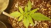 20160516_222557.jpg