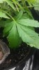 20160517_151217.jpg