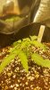 20160517_190746.jpg
