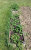 20160516_144115.jpg
