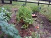 20160518_074448.jpg