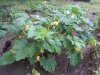 20160518_074443.jpg