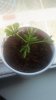 20160520_104314.jpg