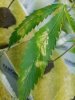 20160520_075824.jpg