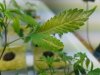 20160520_080137.jpg