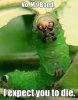 upload_2016-5-20_20-46-38.jpeg upload_2016-5-20_20-46-38.jpeg