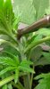 20160521_105326_HDR.jpg
