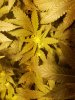 20160521_155314.jpg