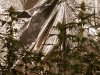 20160521_160706.jpg