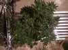20160521_160724.jpg