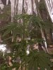 20160521_160934.jpg