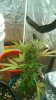 WP_20160522_18_39_48_Pro.jpg