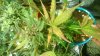 WP_20160522_18_40_33_Pro.jpg
