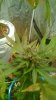 WP_20160522_18_40_11_Pro.jpg