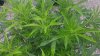 20160522_154028_HDR.jpg