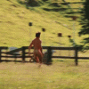 giphy (32).gif