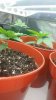 20160523_201556.jpg 20160523_201556.jpg