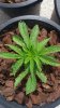 20160524_111505.jpg