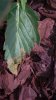 20160524_111419.jpg