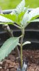 20160525_125144.jpg