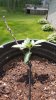 20160525_125135.jpg