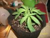 100_1615.JPG