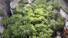 20160525_567845.jpg 20160525_567845.jpg