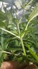 20160525_5685685.jpg 20160525_5685685.jpg