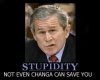 C__Data_Users_DefApps_Windows Phone_AppData_INTERNETEXPLORER_Temp_Saved Images_bush.jpg