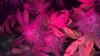 20160527_142911.jpg