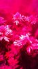 20160527_142841.jpg