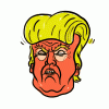 giphy (7).gif