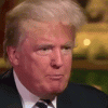 200w (1).gif