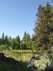 IMG_20160528_085640.jpg