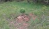 20160528_142435.jpg 20160528_142435.jpg
