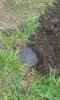 20160528_142449.jpg