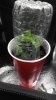 20160528_204927.jpg