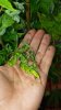 20160529_184649.jpg